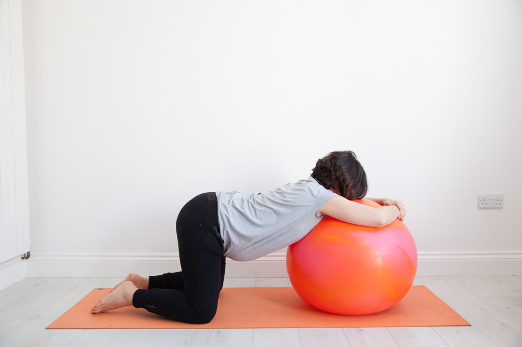 This image has an empty alt attribute; its file name is ball-restingcat.jpg